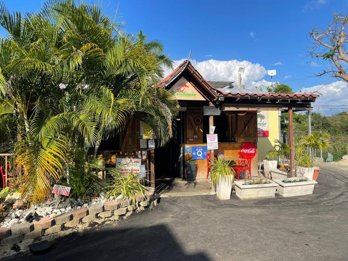 Red Flamboyan Guesthouse And Restaurant Rincon Luaran gambar